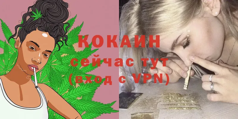 Cocaine 99%  Бабушкин 